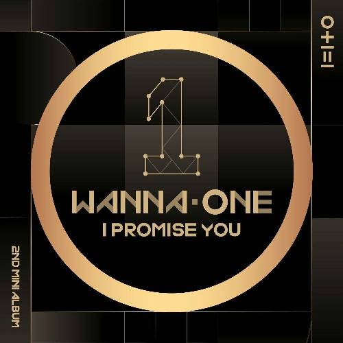 Wanna One see